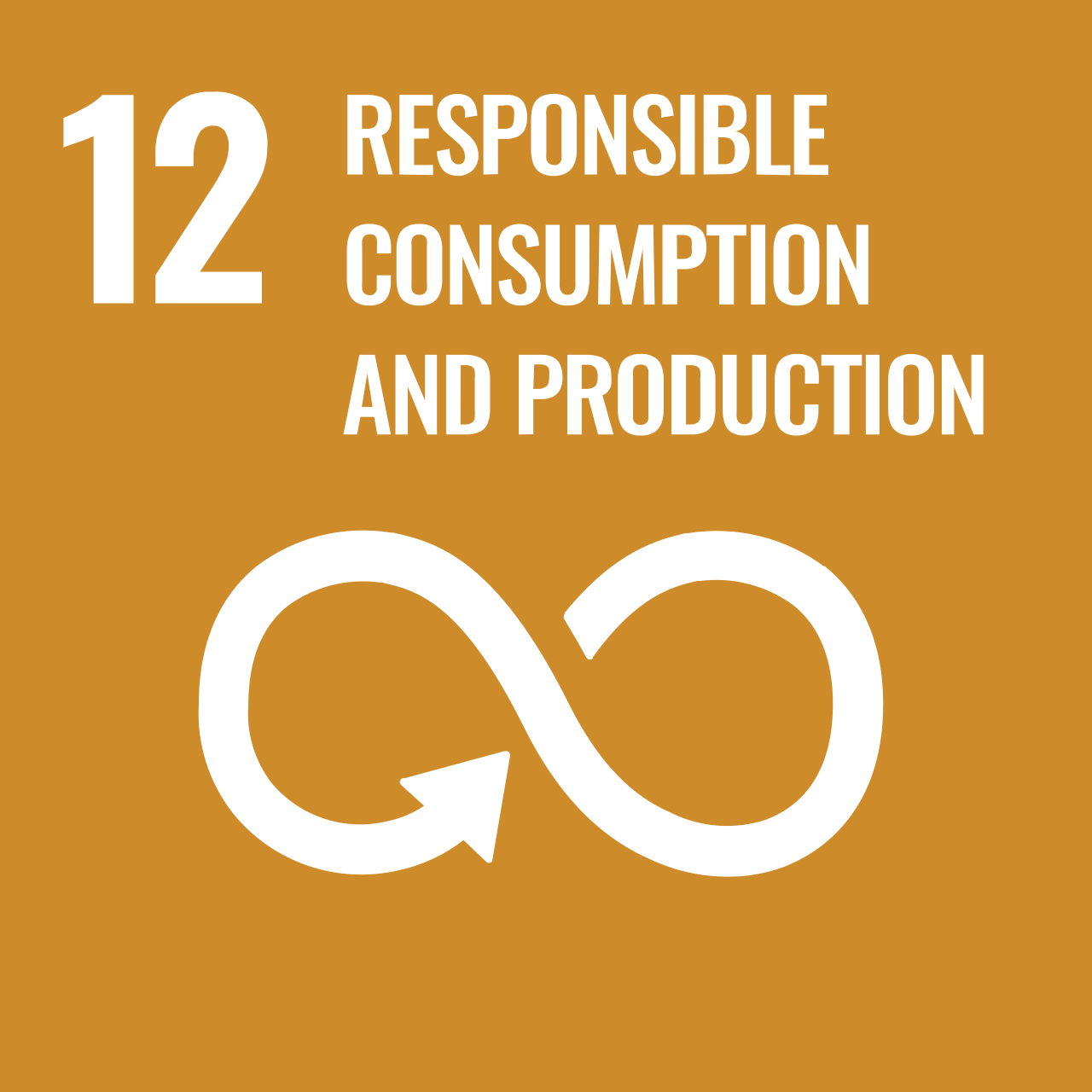 Goal 12: Ensure sustainable consumption and production patterns